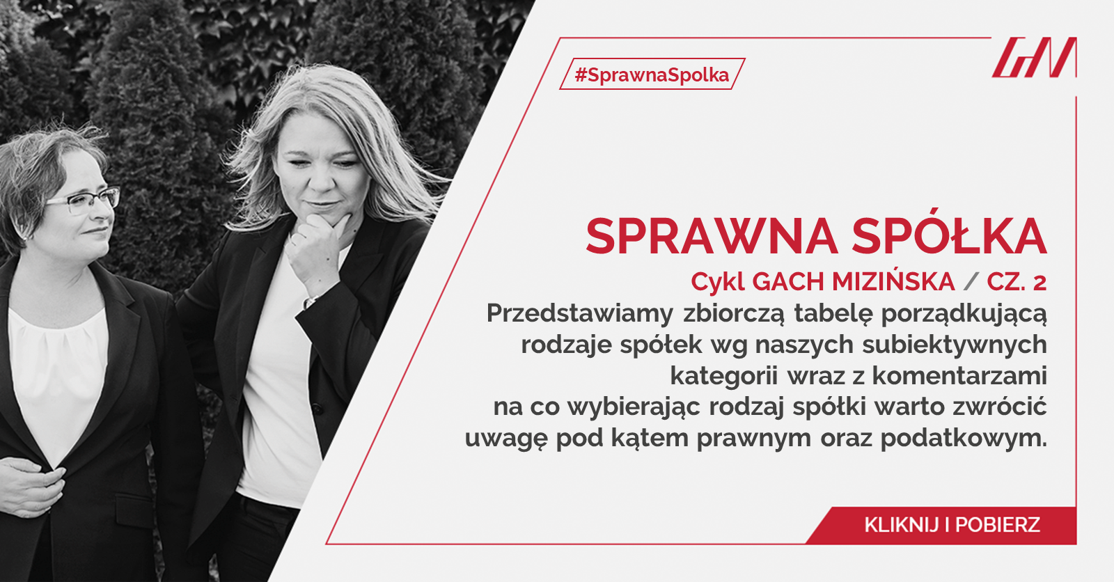 sprawna spółka cz. 2 - rodzaje spółek